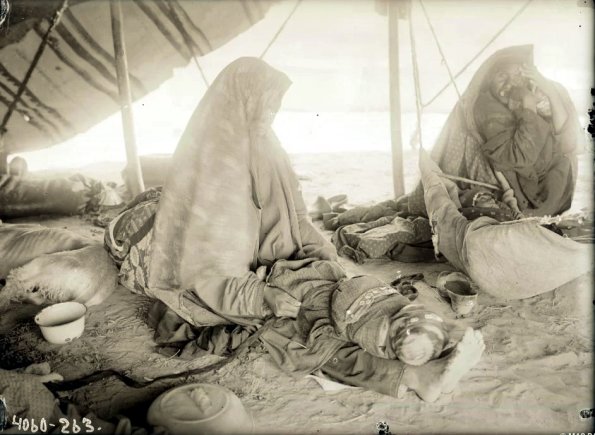 МАЭ № 4060-263 (1)