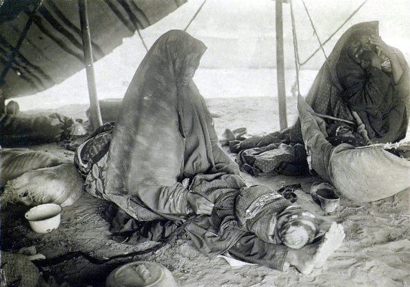 МАЭ № 4060-263 (2)