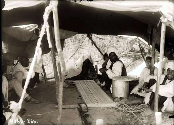 МАЭ № 4060-266 (1)