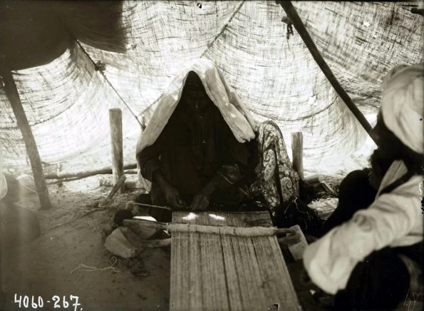 МАЭ № 4060-267 (1)