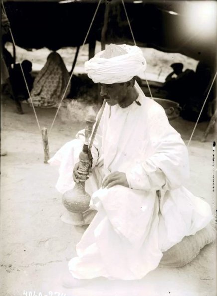 МАЭ № 4060-274 (1)