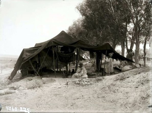 МАЭ № 4060-275 (1)