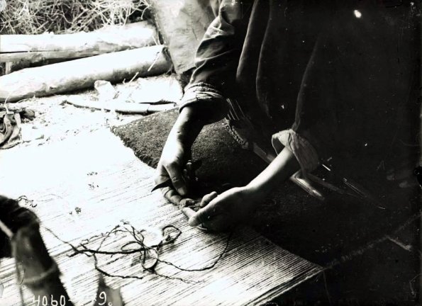 МАЭ № 4060-279 (1)