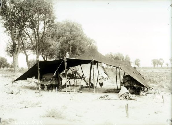 МАЭ № 4060-282 (1)