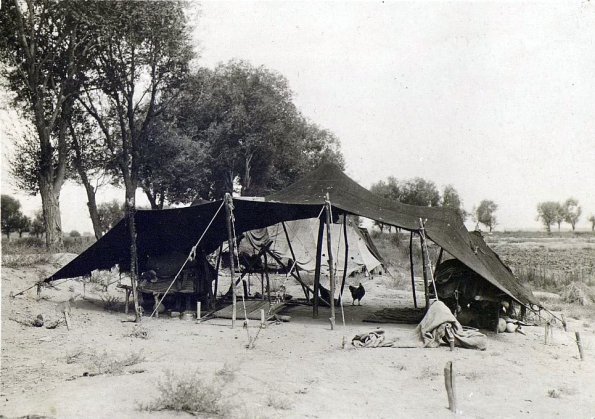 МАЭ № 4060-282 (2)