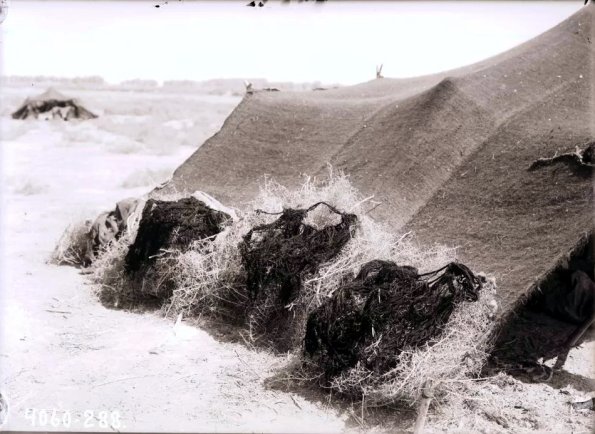 МАЭ № 4060-288 (1)