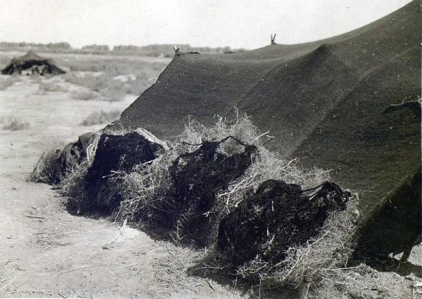 МАЭ № 4060-288 (2)