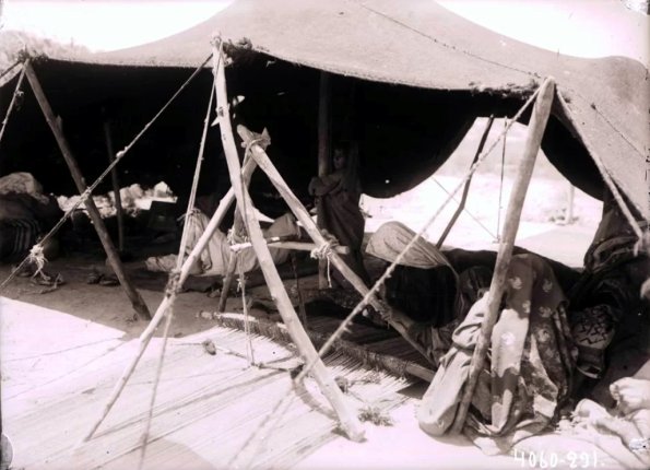 МАЭ № 4060-291 (1)