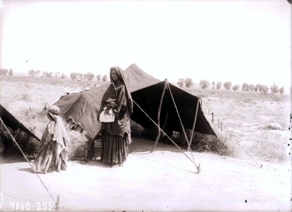 МАЭ № 4060-295 (1)