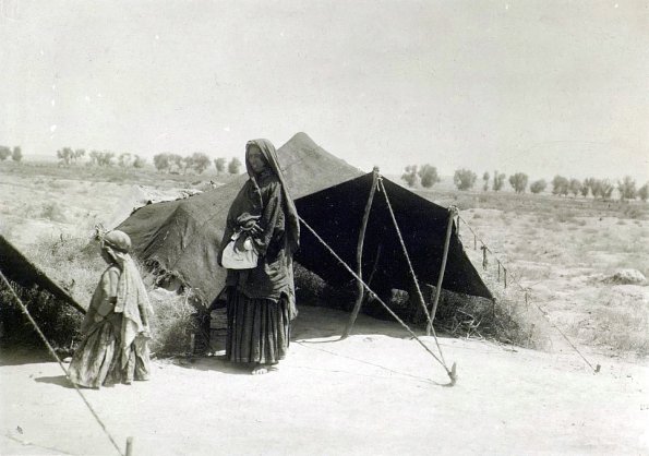 МАЭ № 4060-295 (2)