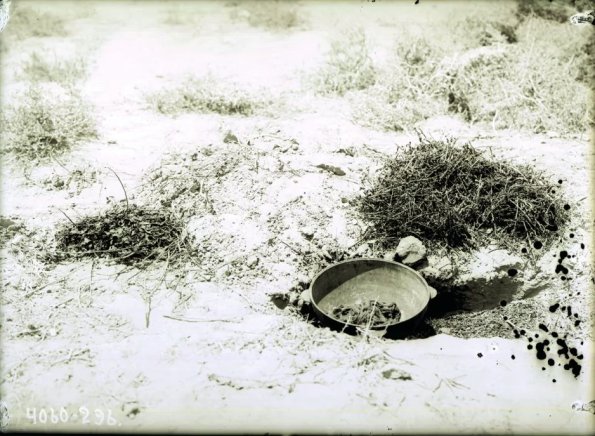 МАЭ № 4060-296 (1)