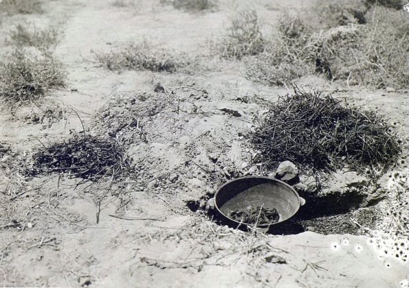 МАЭ № 4060-296 (2)