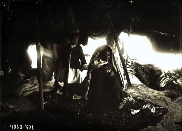 МАЭ № 4060-301 (1)