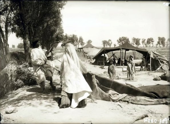 МАЭ № 4060-307 (1)