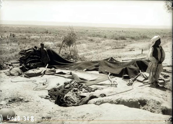 МАЭ № 4060-308 (1)