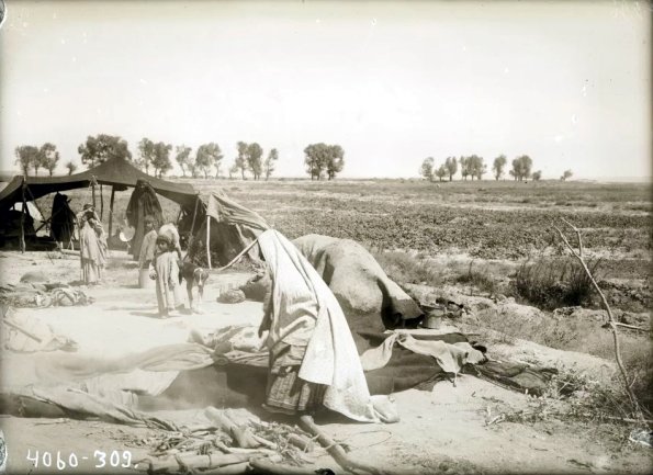 МАЭ № 4060-309 (1)