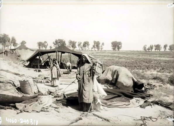 МАЭ № 4060-310 (1)