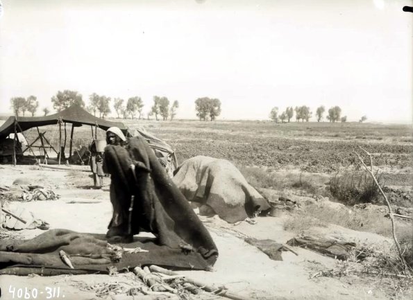 МАЭ № 4060-311 (1)