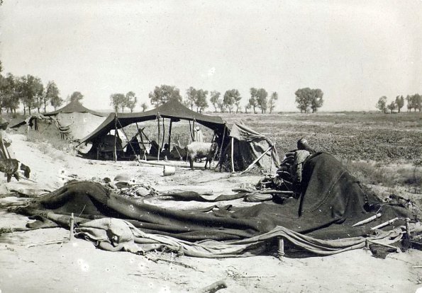 МАЭ № 4060-312 (2)