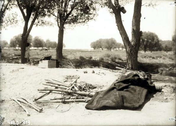 МАЭ № 4060-313 (1)