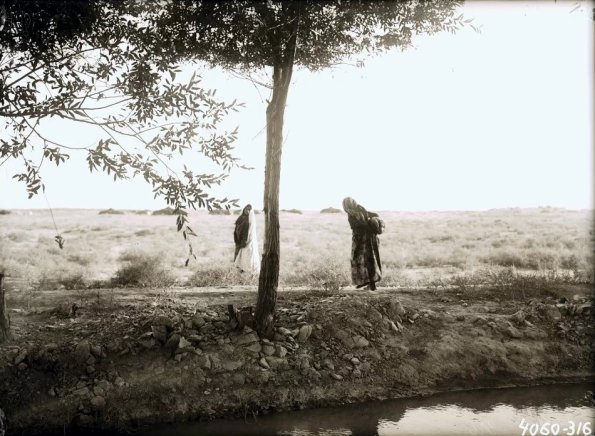 МАЭ № 4060-316 (1)