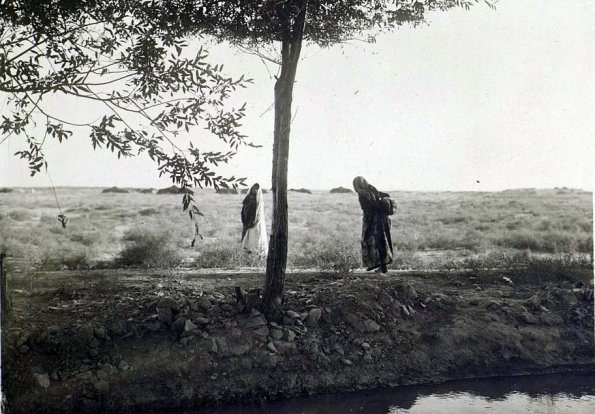 МАЭ № 4060-316 (2)