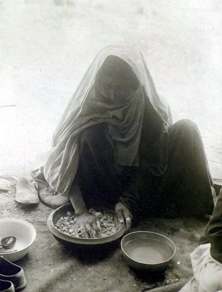 МАЭ № 4060-317 (2)