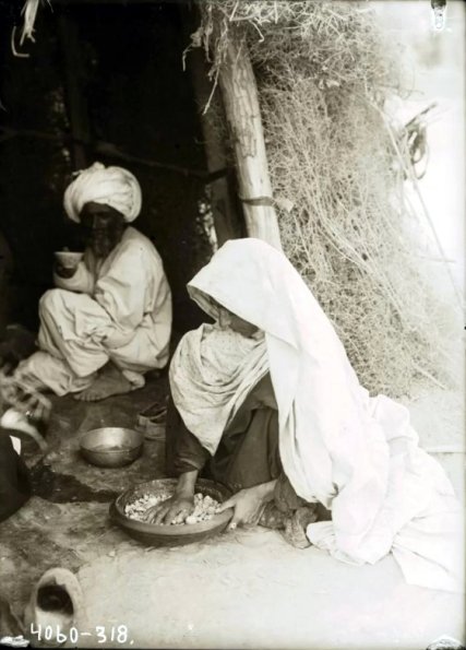 МАЭ № 4060-318 (1)