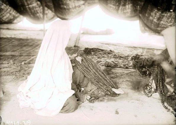 МАЭ № 4060-319 (1)