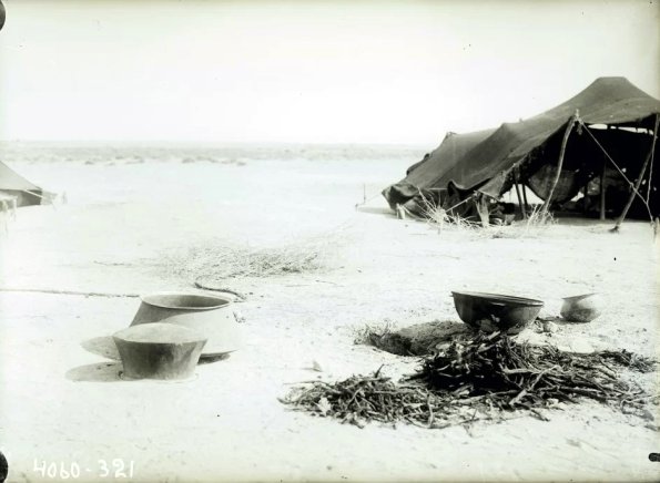 МАЭ № 4060-321 (1)