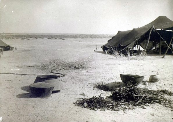 МАЭ № 4060-321 (2)