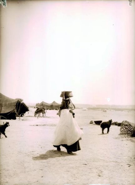 МАЭ № 4060-327 (1)