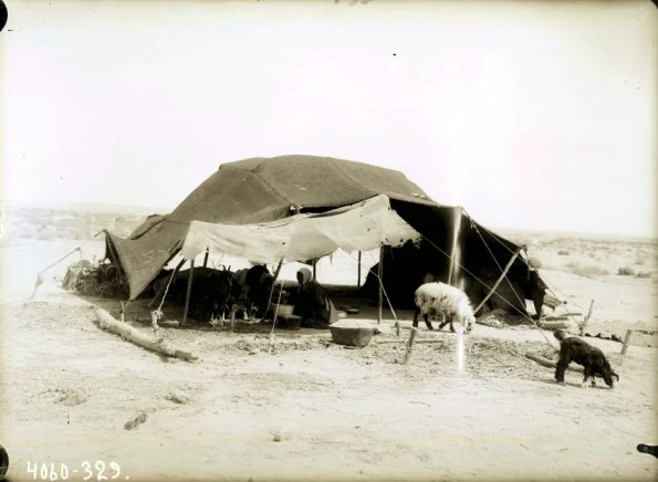 МАЭ № 4060-329 (1)