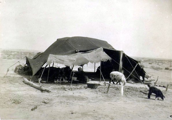 МАЭ № 4060-329 (2)