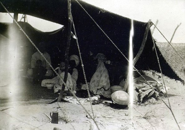 МАЭ № 4060-331 (2)