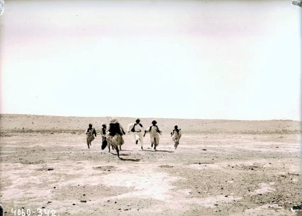 МАЭ № 4060-342 (1)