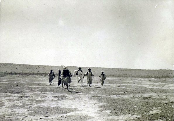 МАЭ № 4060-342 (2)