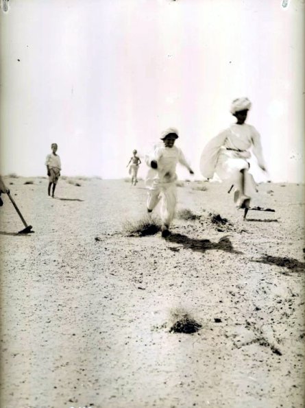 МАЭ № 4060-343 (1)