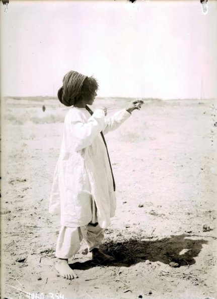 МАЭ № 4060-354 (1)