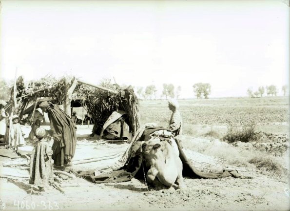 МАЭ № 4060-363 (1)