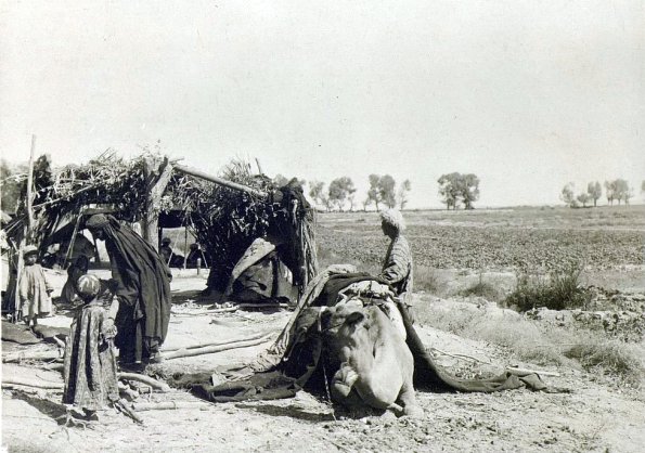 МАЭ № 4060-363 (2)