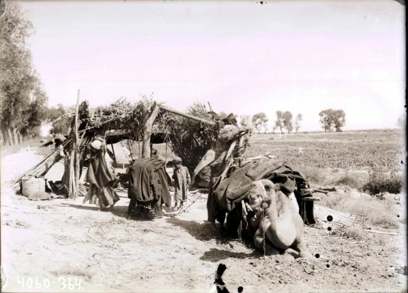 МАЭ № 4060-364 (1)