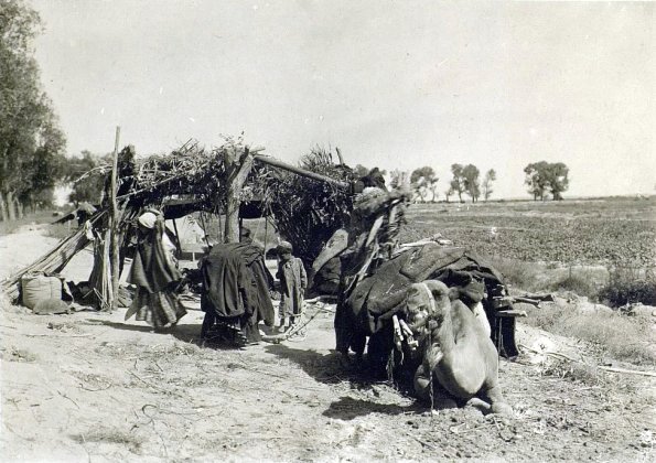 МАЭ № 4060-364 (2)