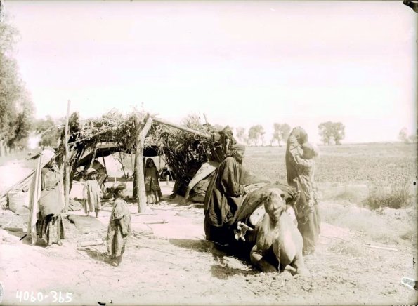 МАЭ № 4060-365 (1)