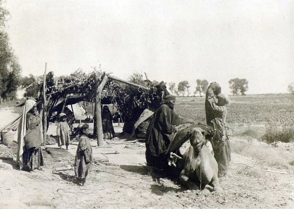 МАЭ № 4060-365 (2)