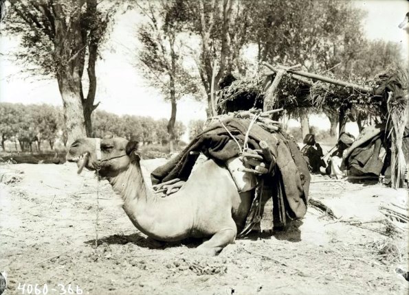 МАЭ № 4060-366-1 (1)