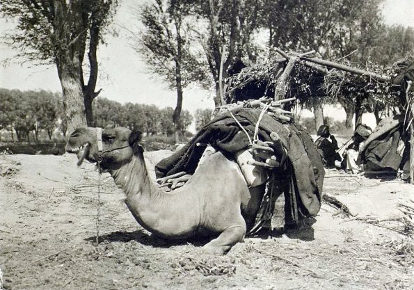 МАЭ № 4060-366-1 (2)