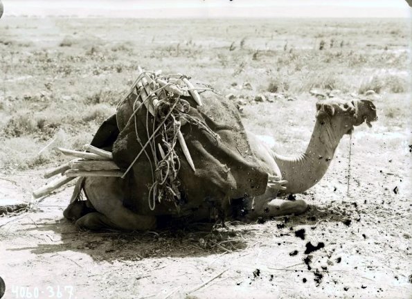 МАЭ № 4060-367 (1)