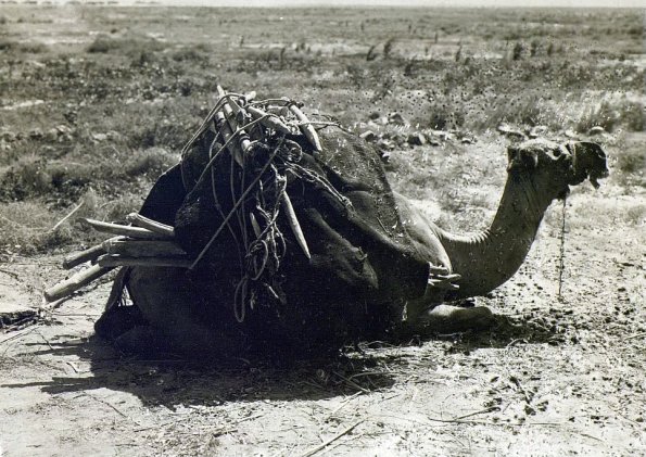 МАЭ № 4060-367 (2)