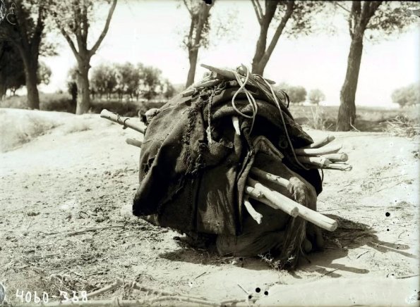 МАЭ № 4060-368 (1)